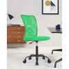 imageBestOffice Ergonomic Office Chair Desk Chair Mesh Computer Chair Armless Back Support Modern Executive Rolling Swivel Chair with Lumbar SupportBlackGreen
