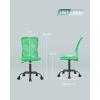 imageBestOffice Ergonomic Office Chair Desk Chair Mesh Computer Chair Armless Back Support Modern Executive Rolling Swivel Chair with Lumbar SupportBlackGreen