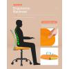 imageBestOffice Ergonomic Office Chair Desk Chair Mesh Computer Chair Armless Back Support Modern Executive Rolling Swivel Chair with Lumbar SupportBlackOrange