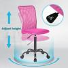imageBestOffice Ergonomic Office Chair Desk Chair Mesh Computer Chair Armless Back Support Modern Executive Rolling Swivel Chair with Lumbar SupportBlackPink