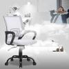 imageBestOffice Office Chair Ergonomic Cheap Desk Chair Mesh Computer Chair Lumbar Support Modern Executive Adjustable Stool Rolling Swivel Chair for Back Pain BlackWhite