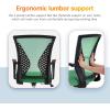 imageOffice Computer Mesh Chair Ergonomic Mid Back Swivel Rolling Desk Chair with Armrest Height Adjustable Lumbar Support x BlackGreen