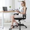 imageBestOffice  Ergonomic Office Chair  MidBack Swivel Desk Chair  Breathable Backrest ampamp Lumbar Support  Adjustable Height  Sponge Seat  Rolling Wheels  Black  for Adults ampamp WomenBlack